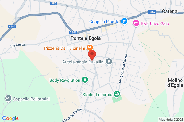 Pubbliche Assistenze