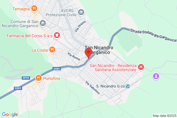 Vigilante costanzo