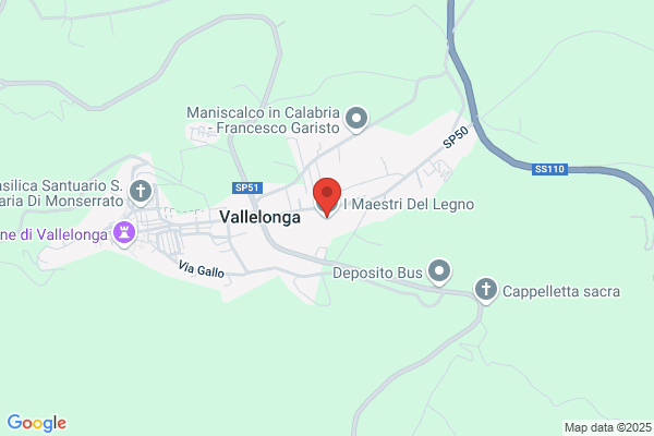 I Maestri del Legno