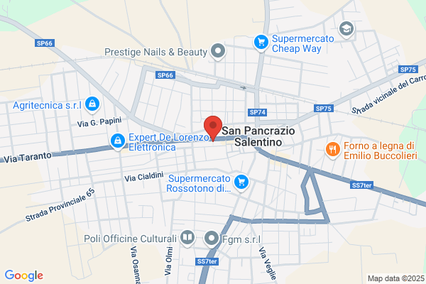 Raino antonio Pancrazio (Geom.)