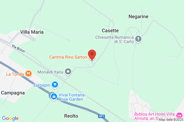 Sartori rino