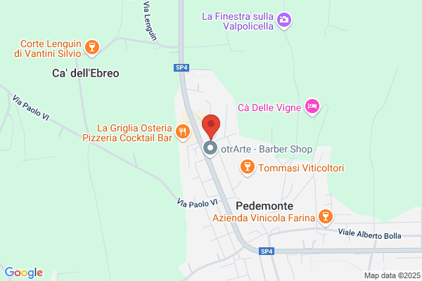 Lonardi cesare (Geom.)