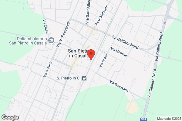 Salsini paolo