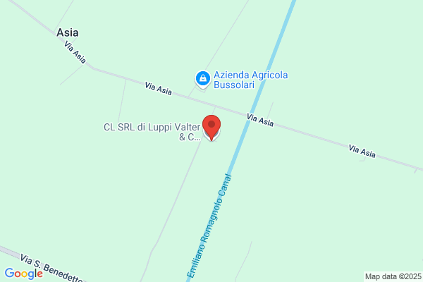 Vitale carlo