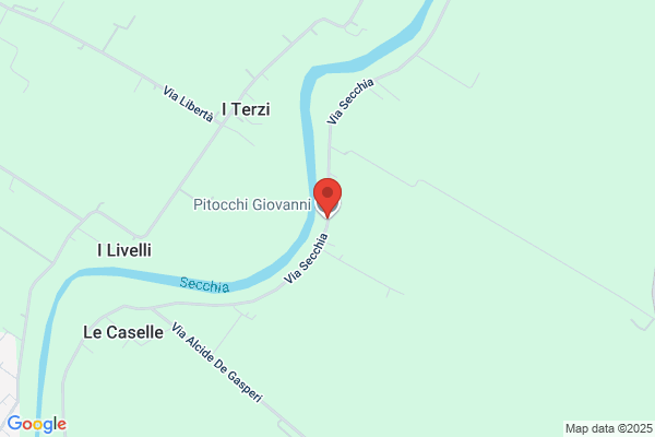 Pitocchi giovanni