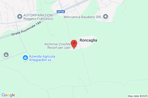 Resort per Cani Alchimie Cinofile