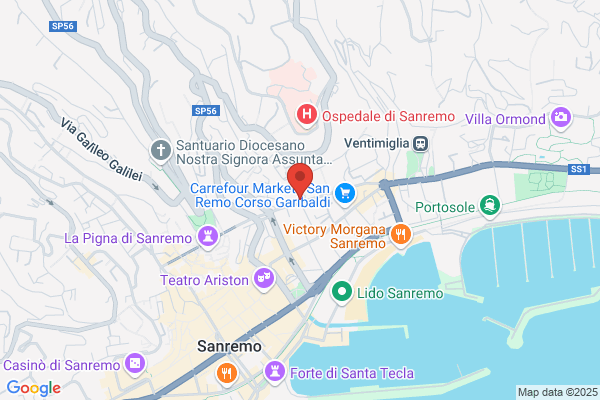 Volpone gabriele