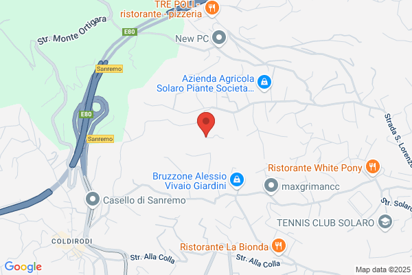 Organizzazione Orlandelli Srl