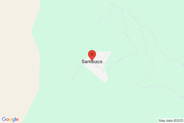 Sambuco angelo