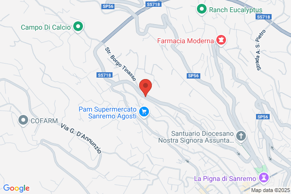 Partito Democratico Della Sinistra