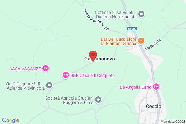 Menghi Gianni Camini