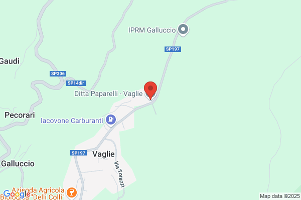 Paparelli luigi