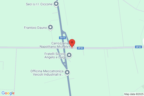 Napolitano michele