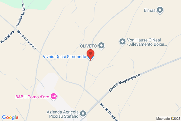 Vivaio Dessi Simonetta