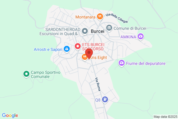 Pigiu Car di Pisu Angelo E C. Sas