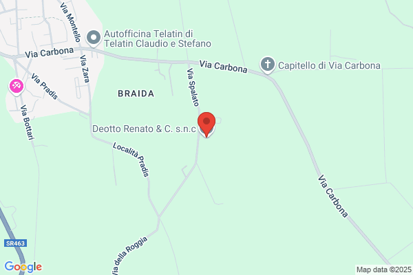 Perissinotto renata