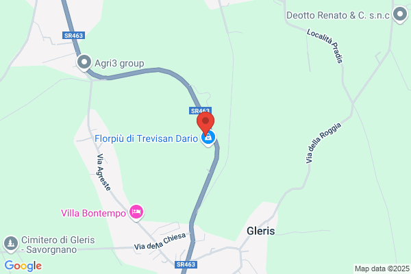 Trevisan (S.R.L.)