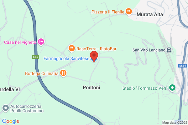 Soc.Immobiliare Enologica Frentana Srl