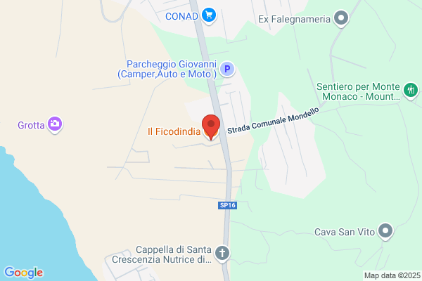 Il Ficodindia