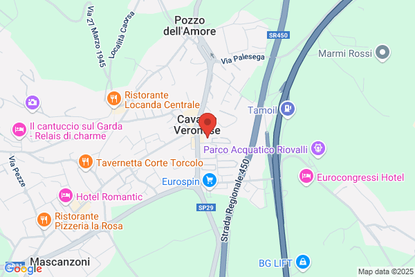Ambulatorio Veterinario Associato Arcadia