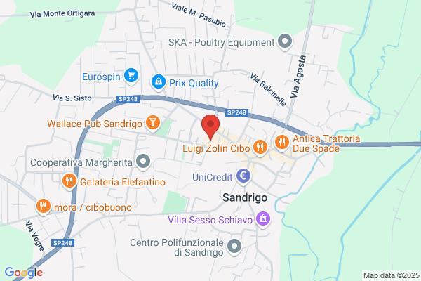 Salin gaudenzio