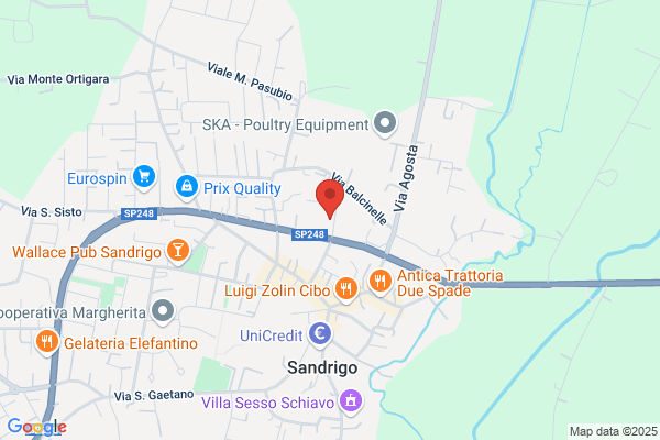 Speggiorin diego