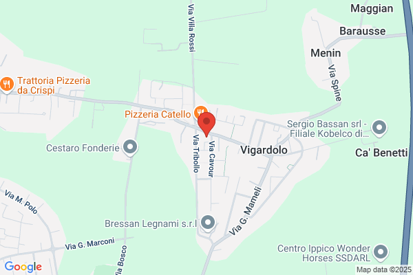 Clinica Vigardolo