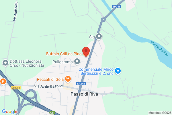 Buffalo Grill