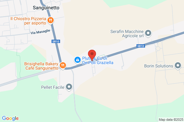 Mirandola giorgio
