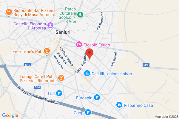 Pronto Intervento Volontari Sanluri