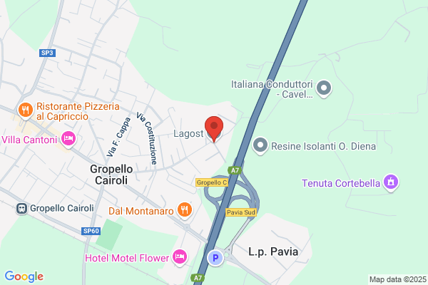 Lagost S.R.L.