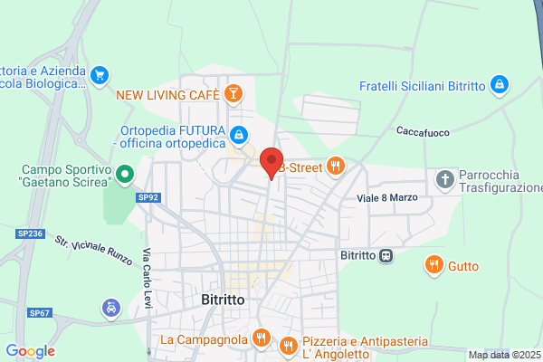 Copy Service Di Strignano Beatrice