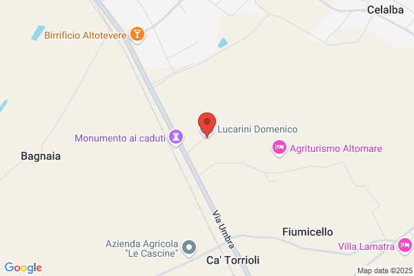 Girolimoni Domenico