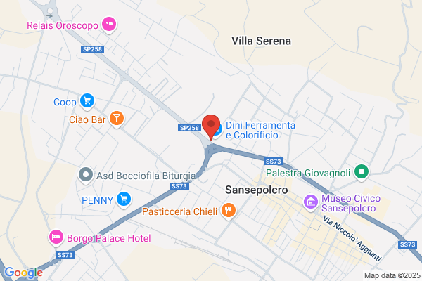 Ragno antonella (Dr.)