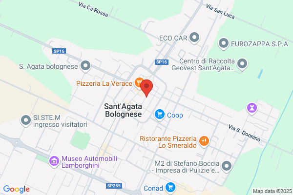 Istituto Professionale Di Stato 0