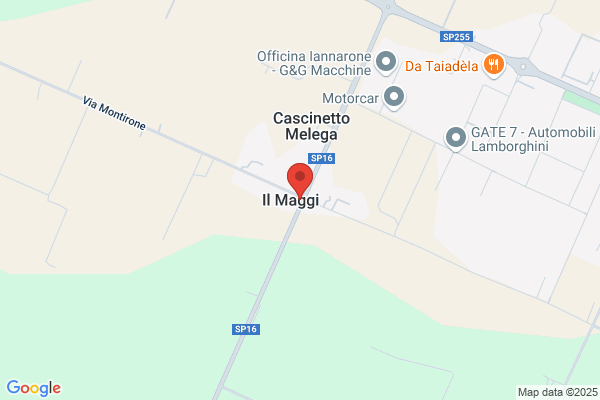 Ptp Pizzeria Maggi