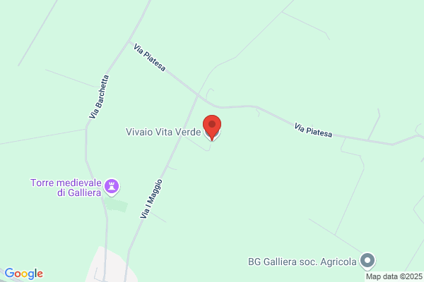 Vivaio Forestale vita verde