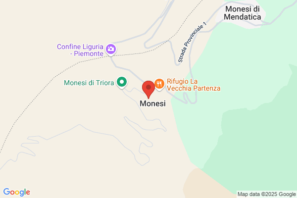 Monesi gessica