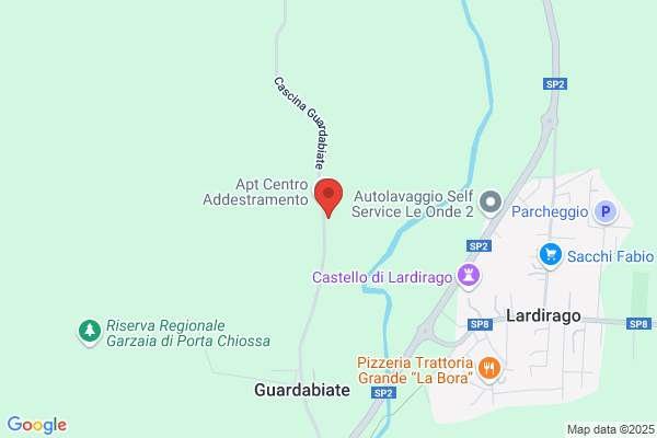Giannini Gino