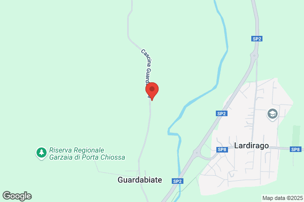 Giannini Gino