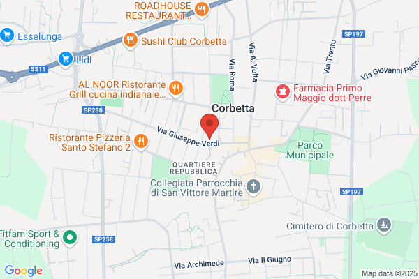 Ristorante Pizzeria Camelia
