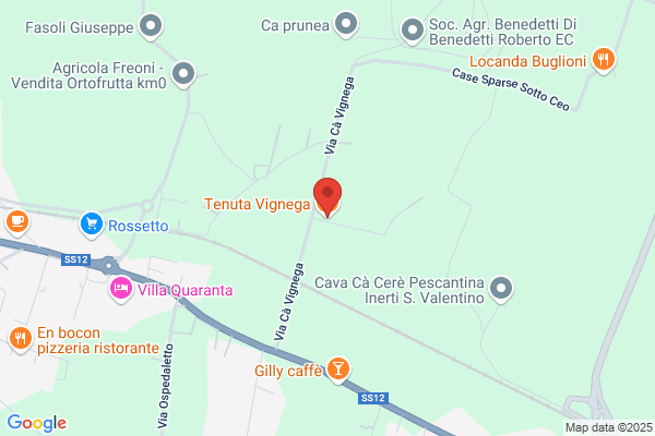 Tenuta Vignega