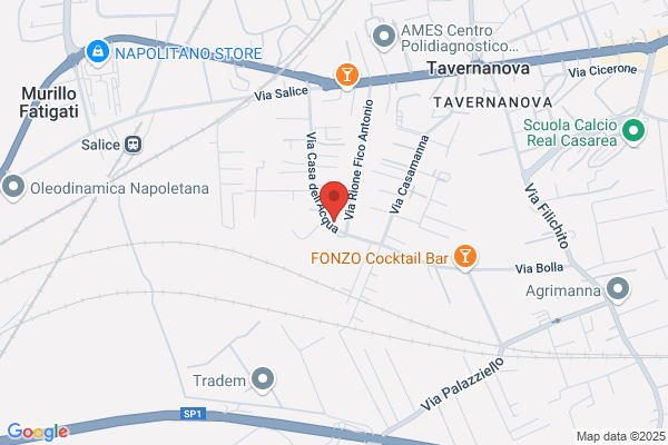 Euro. Car. Service Srl