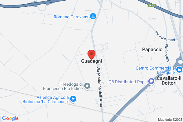 Guadagni Tommaso (Dr.)