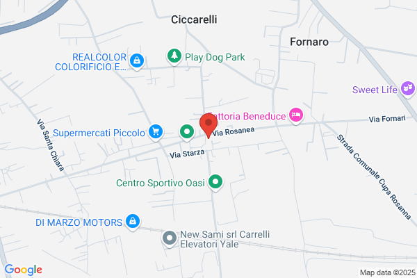 Musella carmine (Dr.)