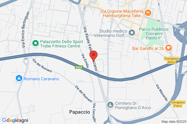 Trasporti Internazionali Savarise Luigi S.R.L.