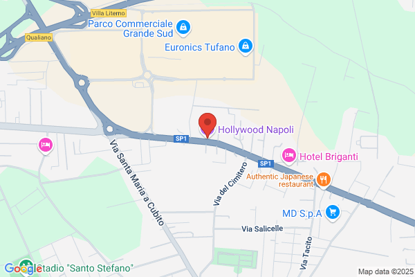 Hollywood S.N.C. Di Palumbo M. & P.