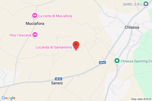 Miccio Pasquale