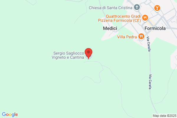 Sagliocco carolina