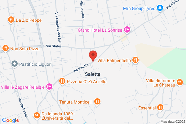 Elettronica Savarese (S.R.L.)